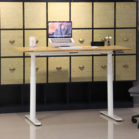 Bureau de travail électrique intelligent 2DF3, ergonomique, réglable en hauteur, bureau debout pour ordinateur, bureau de travail électrique pour la maison, meubles