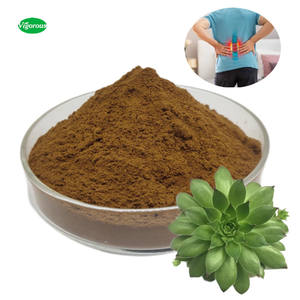 Sempervivum Tectorum fabbrica fornitura di buona qualità migliore vendita Sempervivum Tectorum estratto in polvere - Product Image 1