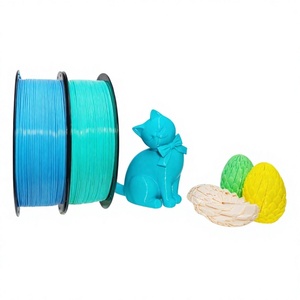 Filamento de Impresión 3D Sanci PETG, Color Básico, 1.75mm de Diámetro, 1KG para Tuozhu AMS para 3D China - Product Image 1