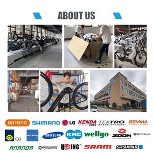 <span class=keywords><strong>Triciclo</strong></span> Elettrico Cargo a 3 Ruote con Pneumatici Fat da 48V 250W - Product Image 5