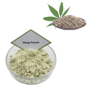 China Hemp Seed Protein Powder Wholesale Hemp Protein 60%