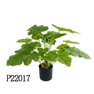 Senmasine <span class=keywords><strong>ต้น</strong></span><span class=keywords><strong>ป</strong></span>าล์ม<span class=keywords><strong>ป</strong></span><span class=keywords><strong>ล</strong></span>อม60ซม. 21หัวห<span class=keywords><strong>ล</strong></span>ายรูปแบบ, <span class=keywords><strong>ต้น</strong></span><span class=keywords><strong>ป</strong></span>าล์มเทียมเขียวชอุ่มต<span class=keywords><strong>ล</strong></span>อดปี<span class=keywords><strong>ต้น</strong></span><span class=keywords><strong>แอ</strong></span><span class=keywords><strong>ป</strong></span><span class=keywords><strong>เปิ้</strong></span><span class=keywords><strong>ล</strong></span> Spathiphyllum taro Leaf <span class=keywords><strong>ป</strong></span><span class=keywords><strong>ล</strong></span>อม - Product Image 4