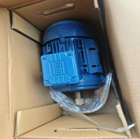 Moteurs électriques basse tension haute performance séries Weg W21 W22 W20 1HP 2HP 3HP 5HP 10HP pour diverses applications industrielles