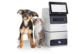 Analizador Bioquímico Veterinario Automático Mindray VetXpert Cube/C5/I3 para Pruebas Químicas e Inmunoanalíticas - Product Image 2