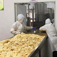 Vacuümfriteuse voor bananachips, lage temperatuur, weinig olie, knapperige fruit snack verwerking
