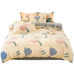 Set Quattro Pezzi in Pile Corallo Invernale Caldo Copripiumino in Pile Doppio Lato Lenzuolo in Flanella Fodera in Pile Morbido Ispessito - Product Image 1