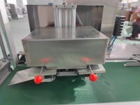 NANZHU Machine d'emballage horizontale à comptage de baguettes Twins