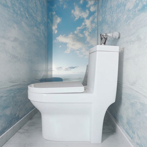 Unità <span class=keywords><strong>Bagno</strong></span> Completa Tre in Uno per Servizi Igienici Commerciali con WC, Lavabo e Vasca - Product Image 4
