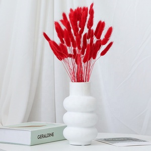 Chaque amour en gros 60 pièces/bouquet de couleur naturelle séchée Lagurus Ovatus lapin queues herbe pour la décoration de la maison - Product Image 1