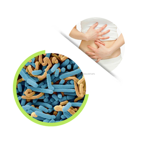 Lactobacillus paracasei poudre poudre de Probiotiques pour <span class=keywords><strong>la</strong></span> santé intestinale - Product Image 1