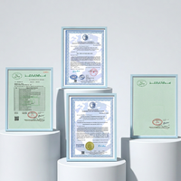 Ingrédients en gros personnalisés pour soupe de poulet, bouillon de poulet séché, mélange d'épices et d'assaisonnements en granulés pour préparation de repas, ISO9001