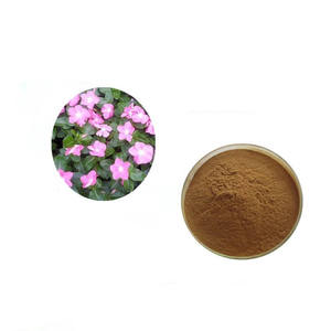 Bieyouth ผงสกัดคาทารานันธีโรเซียส - Product Image 2