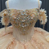 Robe De bal de Quinceanera scintillante personnalisée chaude robe De 15 appliques Anos pour robe De mariée d'anniversaire
