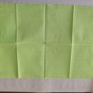 Toallitas bucales desechables de color verde, 4 paquetes por caja, de un solo uso, protección para la higiene dental - Product Image 2