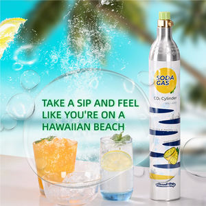 Prix usine 0.6L aluminium <span class=keywords><strong>CO2</strong></span> bouteille de gaz Tped certifié 425g 60L Soda eau bouteille de gaz pour Soda Maker - Product Image 6