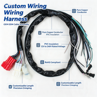 Câble de Harnais PVC Personnalisé OEM ODM avec Conducteur en Cuivre Pur, Adaptateur Connecteur, Fabrication selon Vos Dessins, Conforme RoHS, IP44 pour
