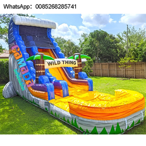 Tobogán Acuático Inflable de Grado Comercial de Nuevo Diseño para Niños y Fiestas, Certificado CE, Capacidad de 800 kg, 3-10 Pasajeros - Product Image 3