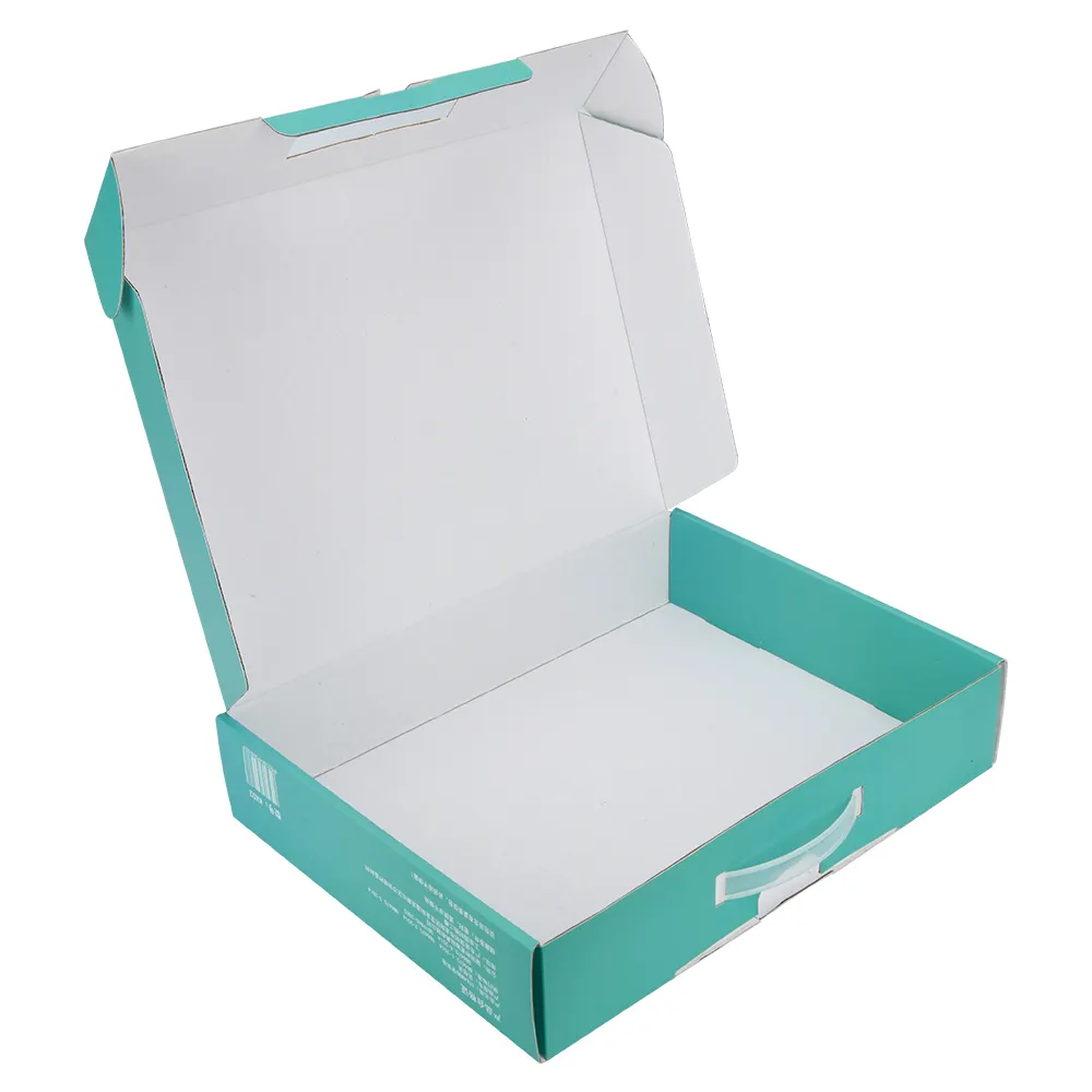 Ruizhi caixa de plástico personalizada, maçaneta ambimentalmente amigável da caixa de papel da impressão da superfície