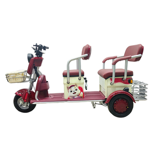 Trung Quốc bán dành cho người lớn Điện Xe ba bánh giá rẻ chất béo lốp mở hàng hóa Trike để bán - Product Image 1