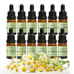 Cocosir essenza calda candela pianta olio essenziale sapore e fragranza aromaterapia candela fai da te per regalo candele Set Making