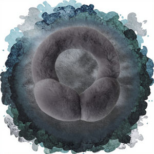 Orejeras de invierno de piel para mujer, piel de conejo Rex suave de doble cara, a la moda de piel gruesa cubierta de oreja, cálida y elegante - Product Image 2