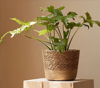 Macetas de madera con forma rectangular, valla de madera para plantas