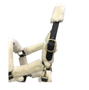 Haute qualité - Licol pour cheval en cuir de vache - Licol pour cheval fait main en laiton massif avec finition nickelée - Product Image 2