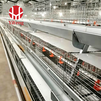 Système d'élevage de poussins haute capacité, cage de couvaison de type A pour poulailler commercial, équipement d'élevage de poussins en gros