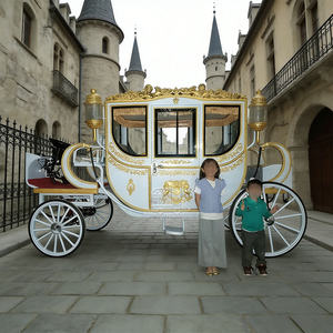 Vagoneta de lujo eléctrica, perfecta para festivales, bodas, carruaje de caballos en venta - Product Image 5