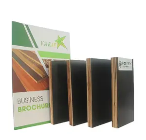 Faced Film Formwork Panel Outdoor Eucalyptus, Acacia Plywood Material Main Model Usage Building Concrete