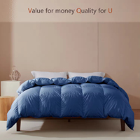 Couette en duvet d'oie légère couette couette insérer été couverture en duvet Twin Queen King Size couette ensemble de literie
