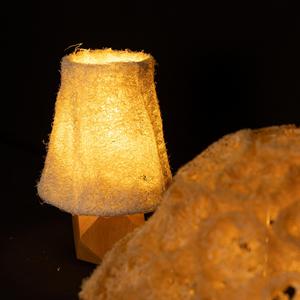 Lampes décoratives Zenidoo personnalisées en forme de loofah, corps en plastique, lampes de bureau et de sol avec alimentation par batterie, lumière blanc chaud 3500K, vente en gros - Product Image 5