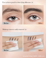 Crayon à sourcils rétractable double embout OEM, étanche et résistant à la transpiration, à pointe dure naturelle, anti-bavure, personnalisable avec logo – Offre Spéciale