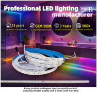 Tira de Luces LED SMD5050RGBW Inteligente DMX512 de Guangdong, Direccionable, Programable, de Alta Calidad, Flexible, con Control Remoto