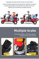 Tricycle Électrique à 2 Rangées de Sièges, 600W 800W 1000W, pour Usage Familial, Scooter Électrique Vintage à 3 Roues pour Adultes – Ventes Flash