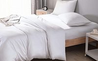 Parure de lit en bambou organique, ensemble de literie, housse de couette, taille king, 300tc 100%, original