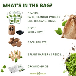 Kit de culture d'herbe d'intérieur avec pots de jute pour plantes Kit de 5 plantes aromatiques pour fenêtre et jardin - Product Image 2