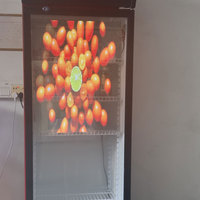 Écran de film LED transparent-un affichage LED flexible et transparent pour les portes de réfrigérateur de centre commercial résistantes au gel.