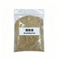 Culture pure d'Acetobacter 10 milliards UFC en poudre pour la fermentation de l'acide acétique, sacs kraft de 25 kg, durée de conservation de 12 mois, étanche