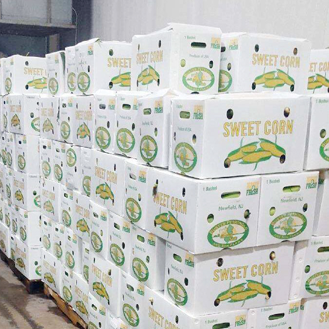 vegetable plastic box corflute Asparagus Box