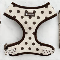 Ensemble Harnais et Laisse pour Chien Personnalisé à Pois, Doux et Design, pour Chiot, avec Collier et Sac de Promenade, Harnais Gilet Facile à Enfiler