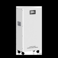 Système de stockage d'énergie domestique personnalisé avec batterie LiFePO4 de 5 kWh, batterie solaire verticale à poser au sol pour système solaire résidentiel