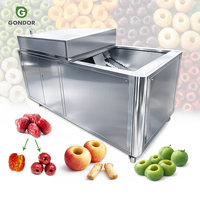 Automatische ontpitter voor olijven, roselle en dadelpitten.