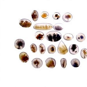 ควอตซ์ 5A ทรงลูกแพร์ สีขาวธรรมชาติ ขายส่งจากโรงงาน ขนาด 2x3 มม.-13x19 มม. สำหรับทำเครื่องประดับ - Product Image 4