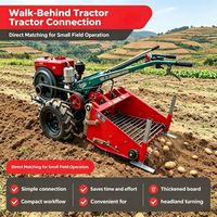 Cosechadora de Patatas de Alta Productividad con Estructura de Acero y Cadena de Arrastre, Accionada por Tractor Manual, para Cultivos Subterráneos de Batata
