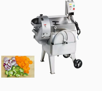 Groente- en fruitsnijmachine, -slicer, -shredder en -dicer voor voedingsfabrieken, catering en diepgaande groenteverwerking.