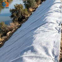 Géotextile en polypropylène à bas prix, tissu non tissé PP pour la construction routière, le drainage, la filtration et la séparation