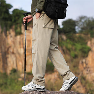 <span class=keywords><strong>Pantalon</strong></span> cargo décontracté pour homme, style printemps-automne, pour l'extérieur, respirant, coupe ample, fermeture éclair, jambe droite <span class=keywords><strong>et</strong></span> large - Product Image 3