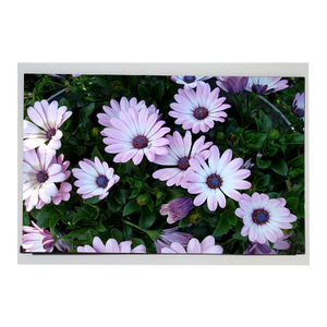Excellent Original LCD Display Screen LM300WQ7-SSA1 30.0 inch 2560*1600 Industrial LCD Panel - Product Image 1