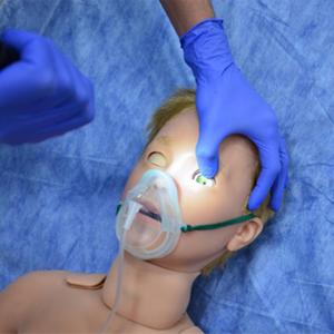 MEDVISION ARTHUR Simulador de Entrenamiento con Maniquí Anatómico de Silicona para Ciencias Médicas con Certificación CE - Product Image 6